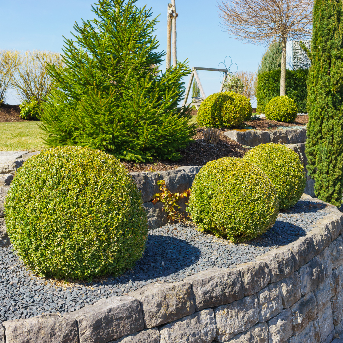 The best garden trees to add thousands to your property value